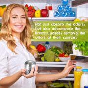 Refrigerator Freshness Keeper, Effective for 10 Years